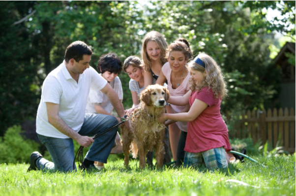 familia con perro