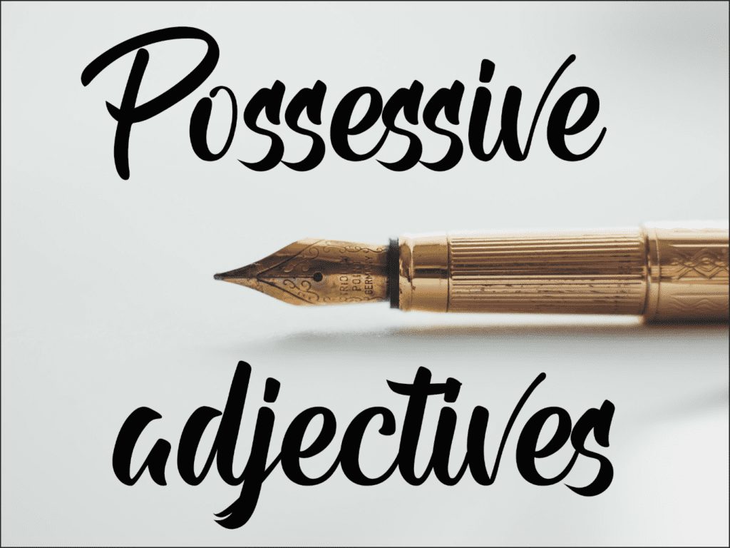 possessive adjectives