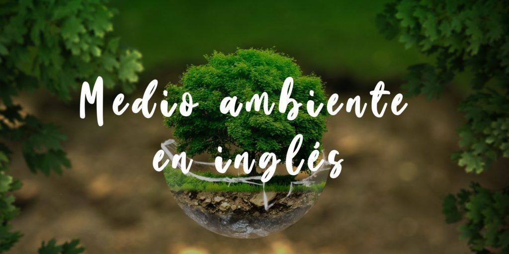 Medio ambiente en inglés: vocabulario | phone english blog